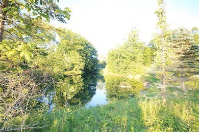 4161 Mallard Bay Medina OH 44256