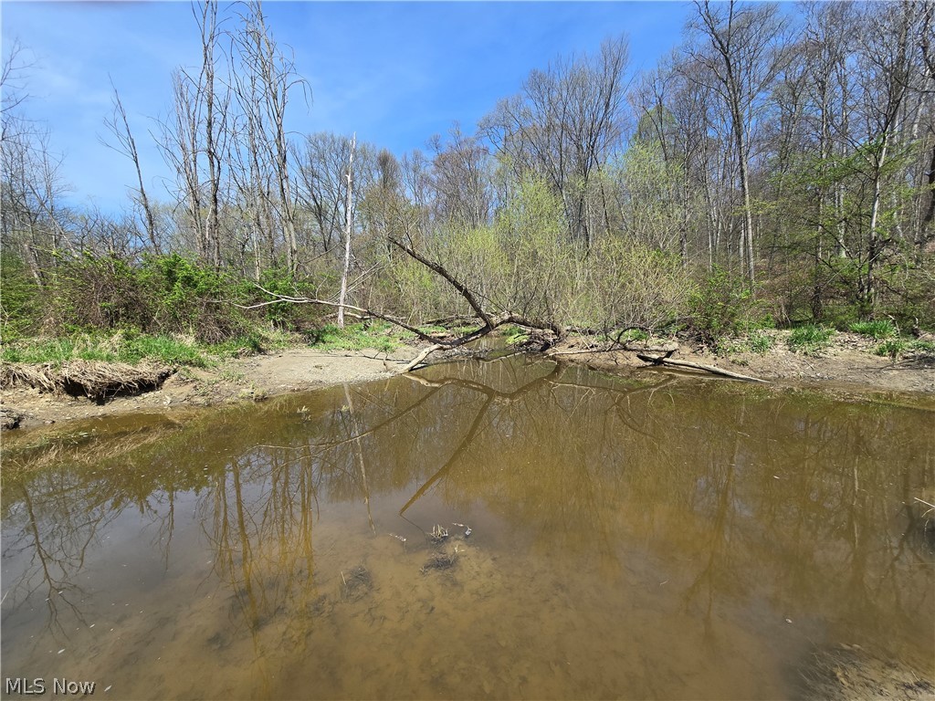 Tische Road Jefferson OH 44084