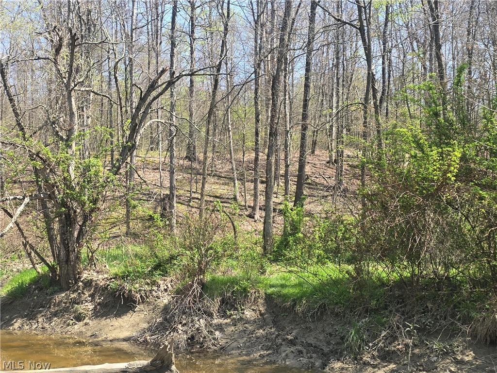 Tische Road Jefferson OH 44084