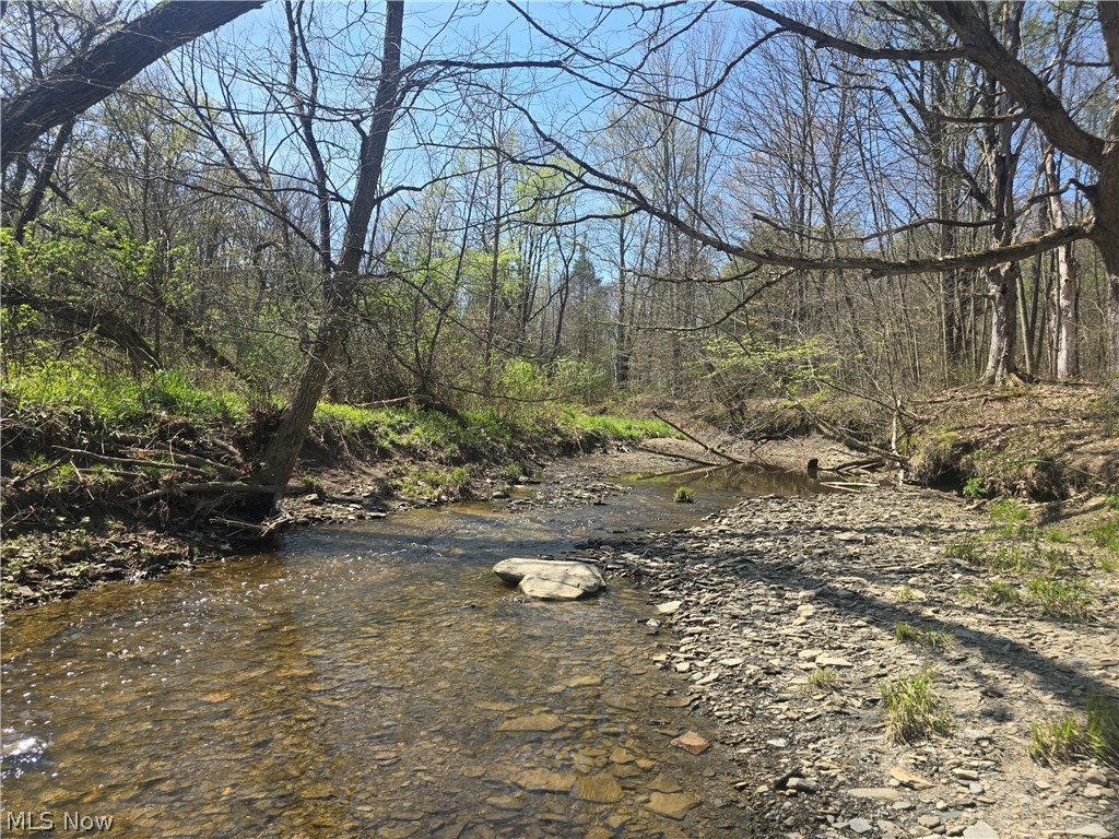 Tische Road Jefferson OH 44084