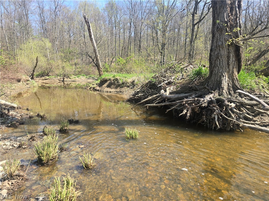 Tische Road Jefferson OH 44084