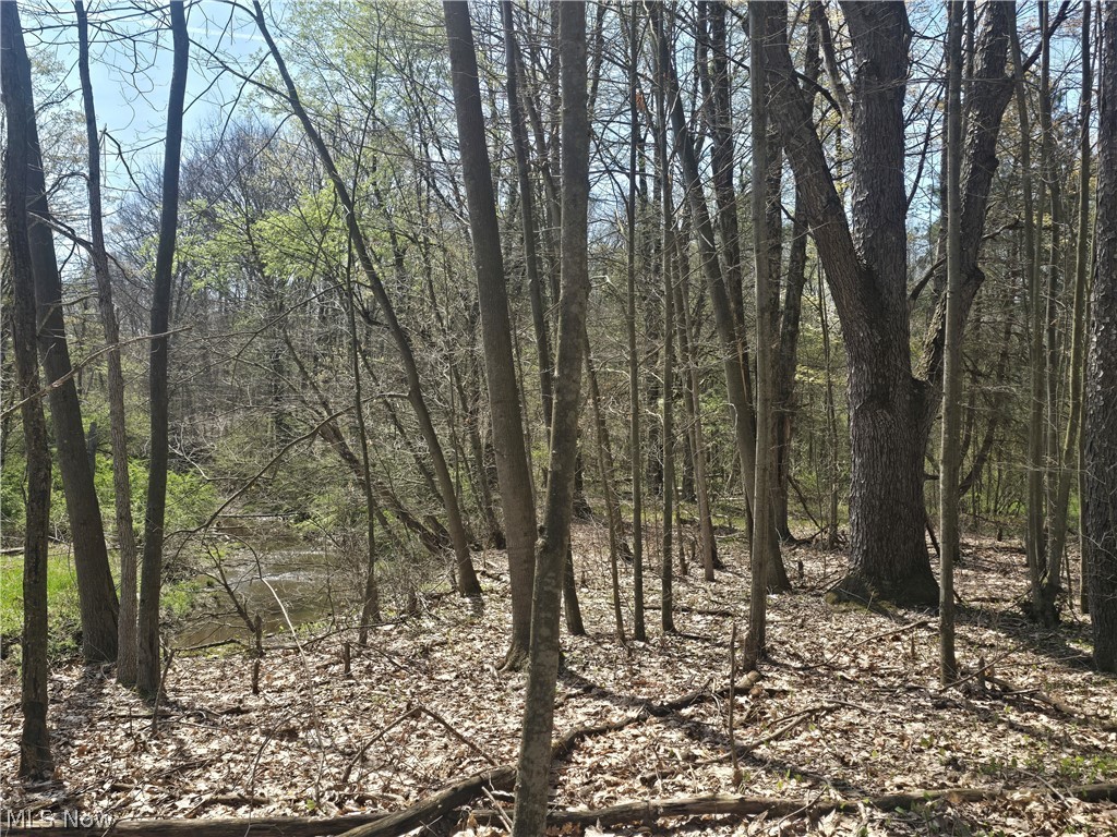 Tische Road Jefferson OH 44084