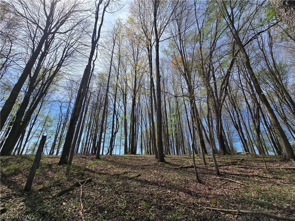 Tische Road Jefferson OH 44084