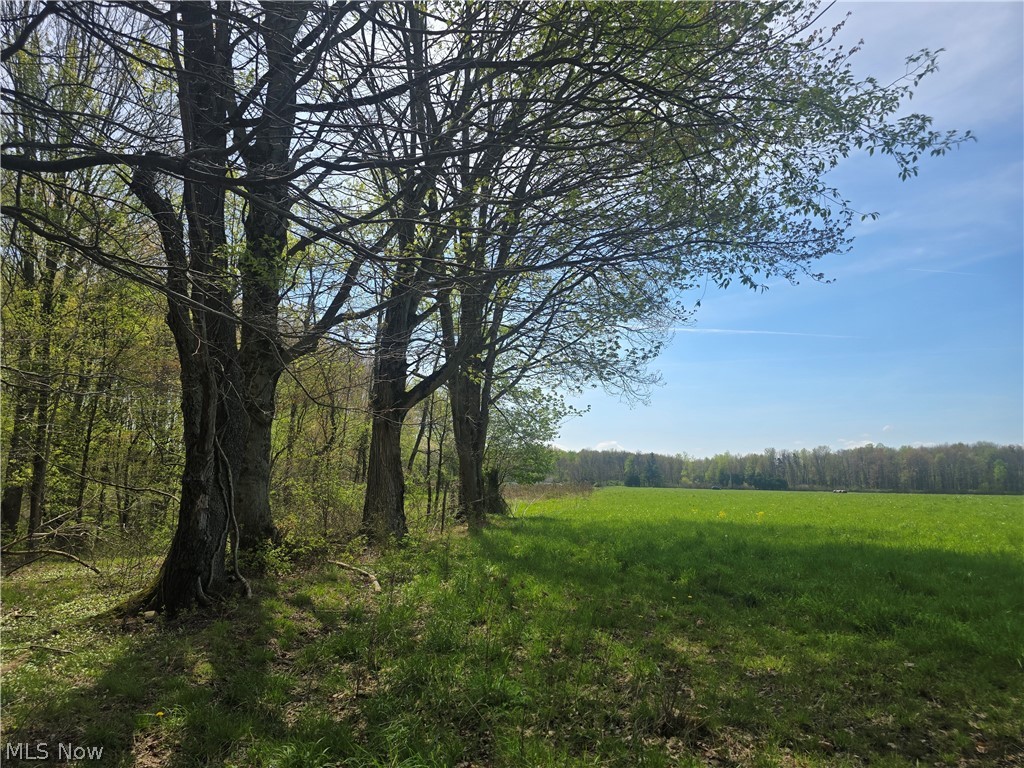 Tische Road Jefferson OH 44084