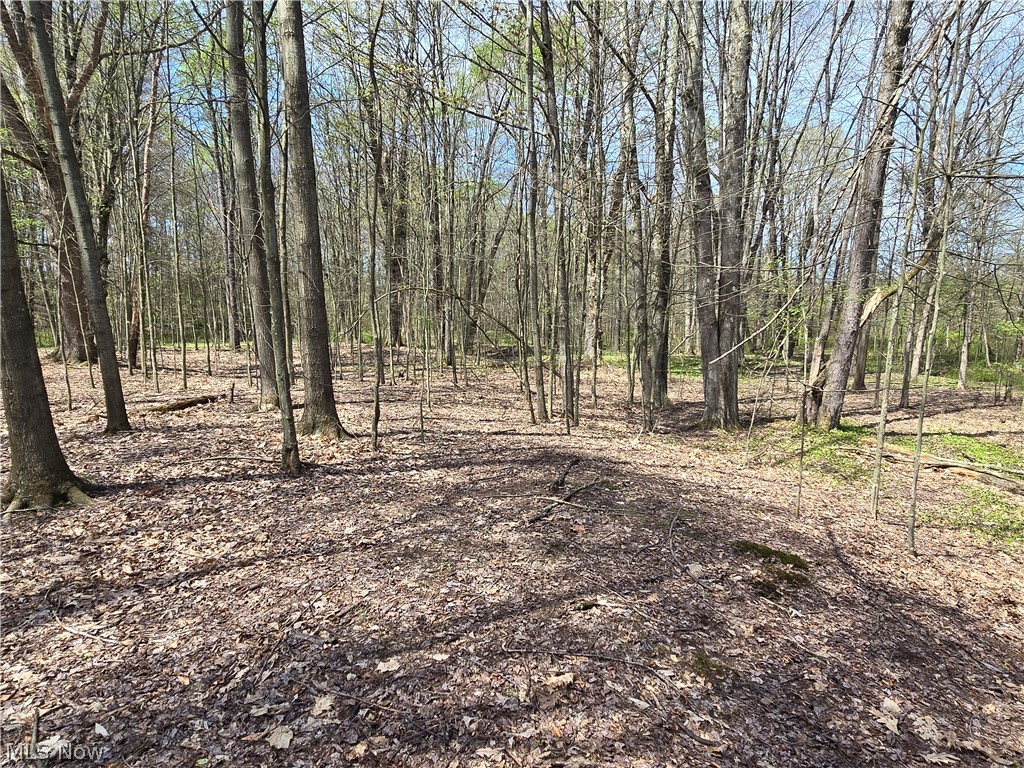 Tische Road Jefferson OH 44084