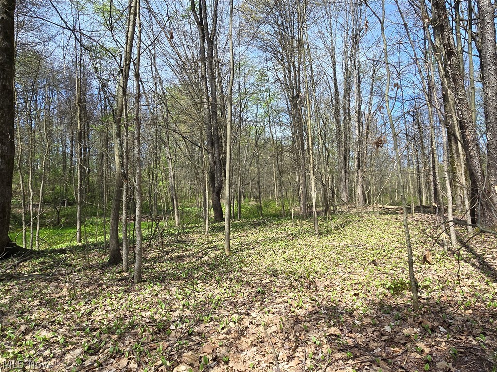 Tische Road Jefferson OH 44084