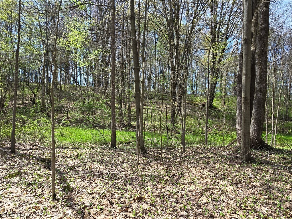Tische Road Jefferson OH 44084