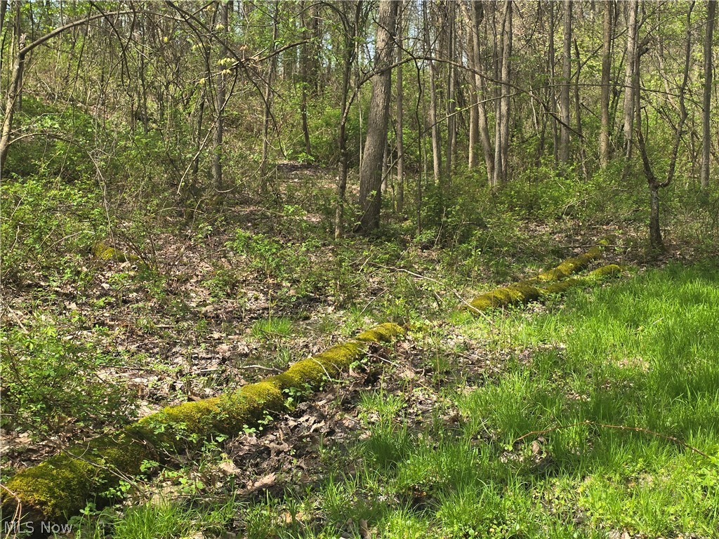 Tische Road Jefferson OH 44084