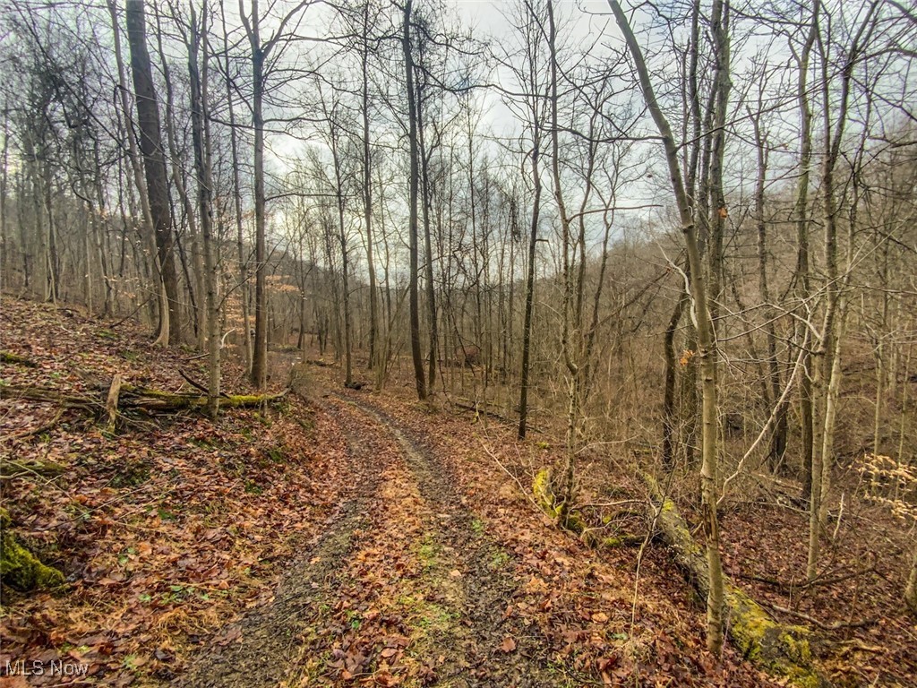 0 New Cut Road Shadyside OH 43947