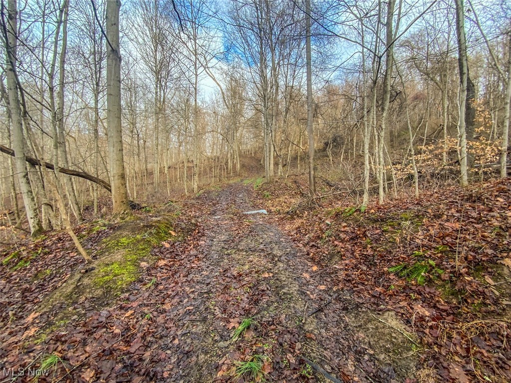 0 New Cut Road Shadyside OH 43947