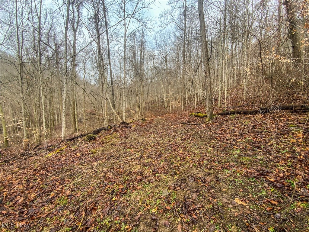 0 New Cut Road Shadyside OH 43947