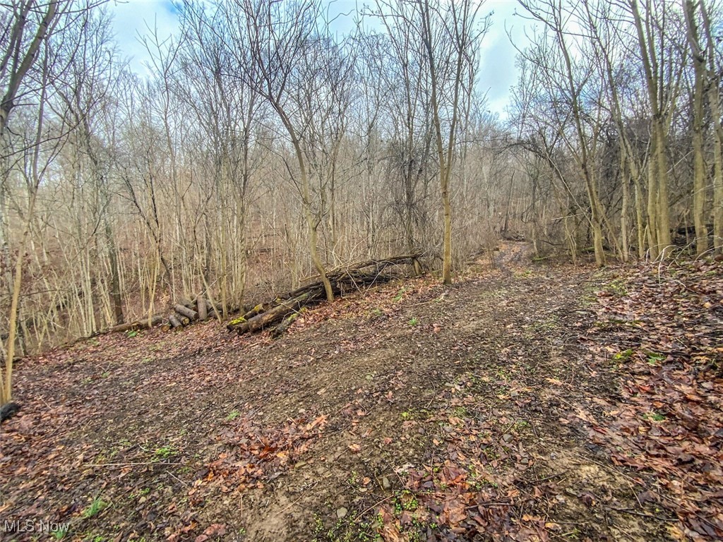 0 New Cut Road Shadyside OH 43947