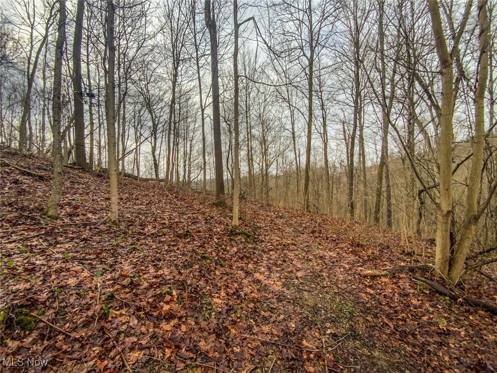 0 New Cut Road Shadyside OH 43947