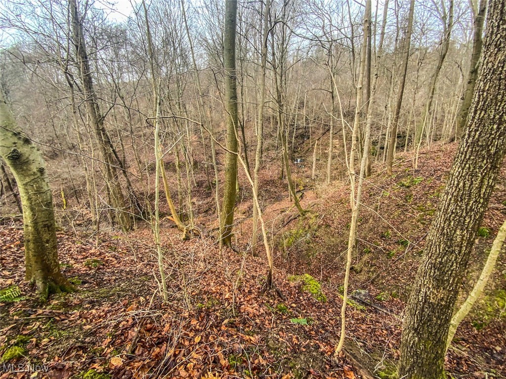 0 New Cut Road Shadyside OH 43947