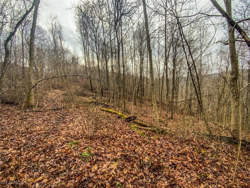 0 New Cut Road Shadyside OH 43947