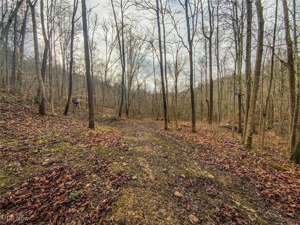 0 New Cut Road Shadyside OH 43947