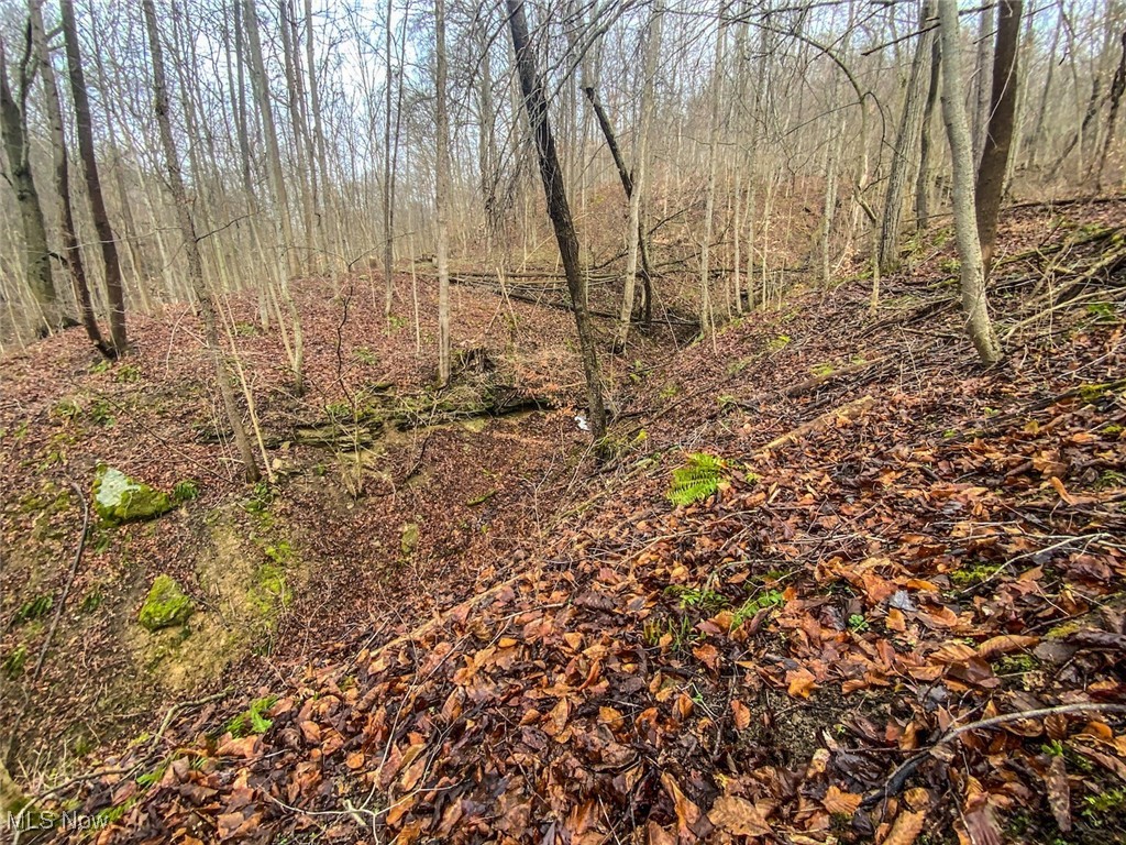 0 New Cut Road Shadyside OH 43947