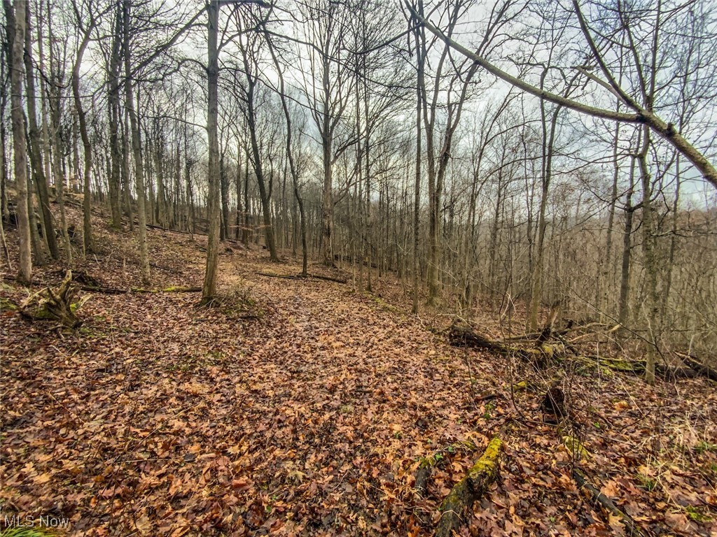 0 New Cut Road Shadyside OH 43947