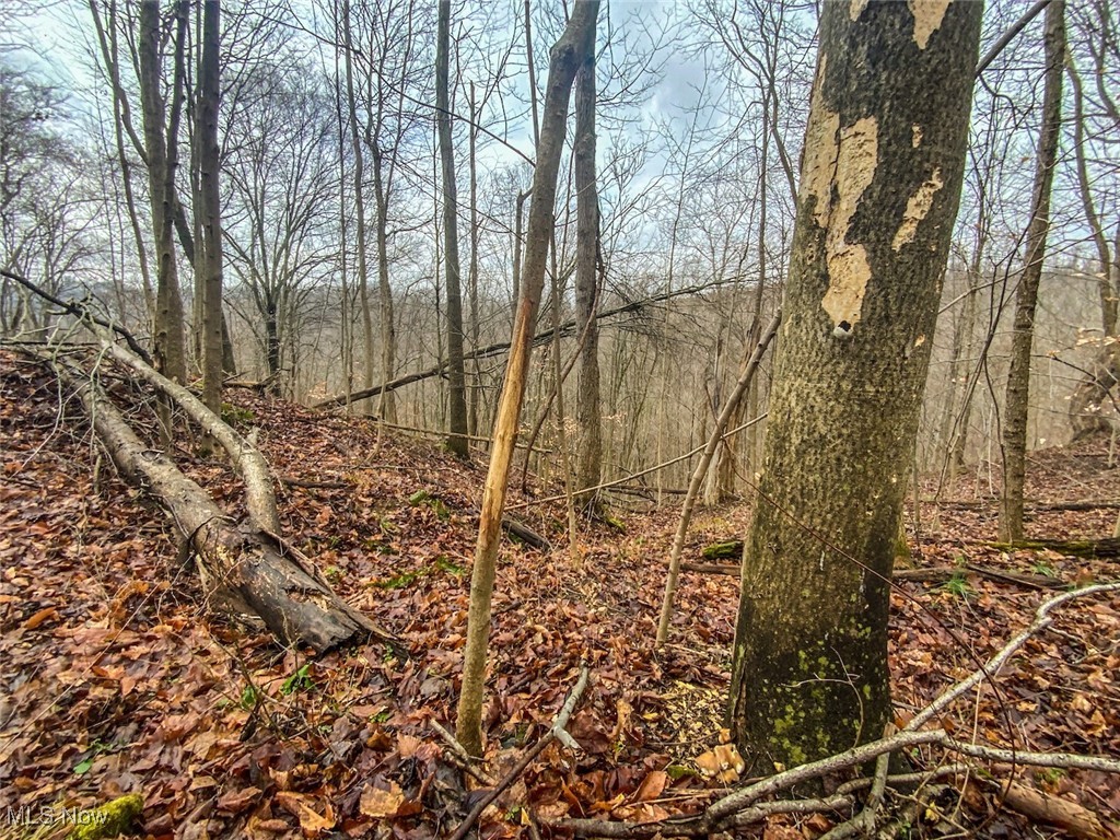0 New Cut Road Shadyside OH 43947
