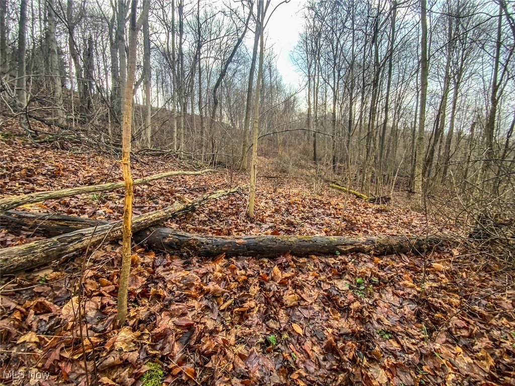 0 New Cut Road Shadyside OH 43947