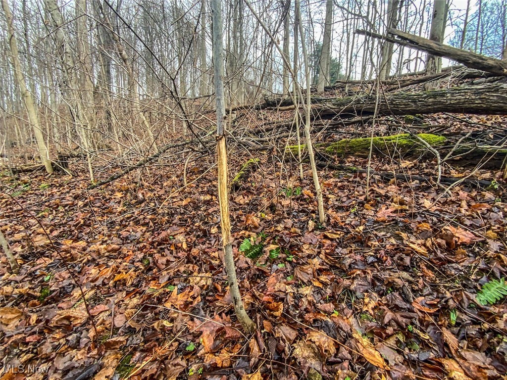 0 New Cut Road Shadyside OH 43947