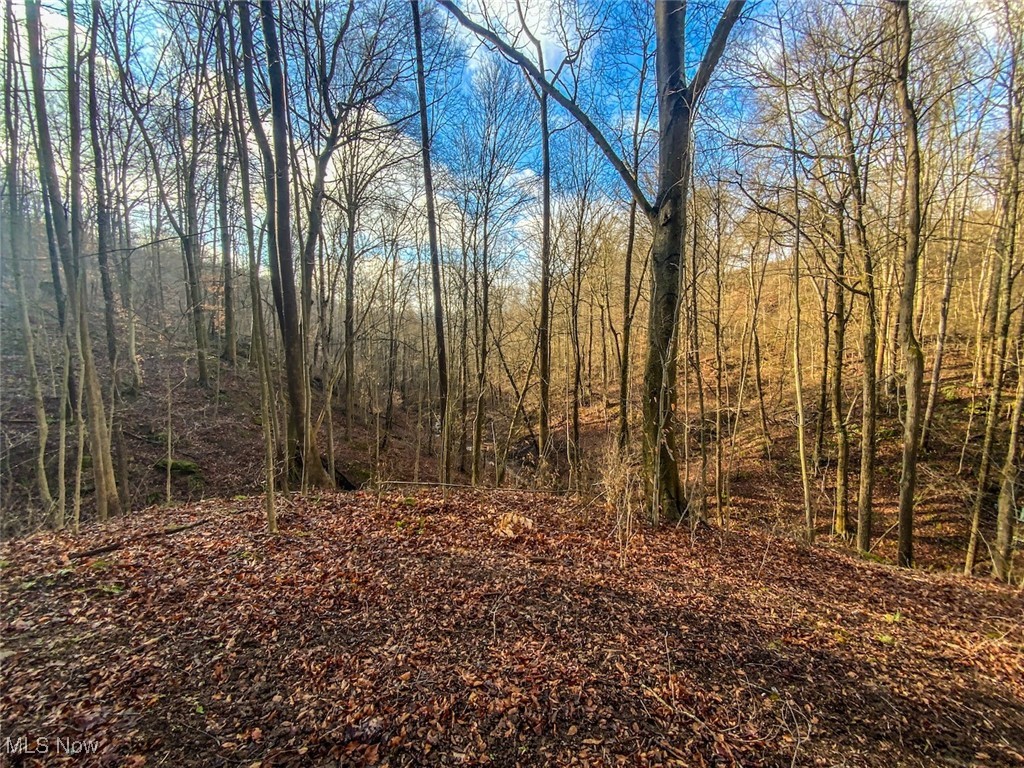 0 New Cut Road Shadyside OH 43947
