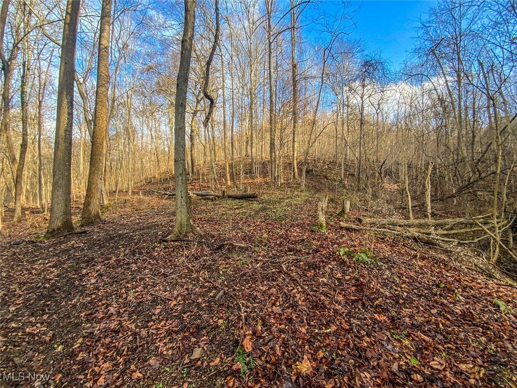 0 New Cut Road Shadyside OH 43947
