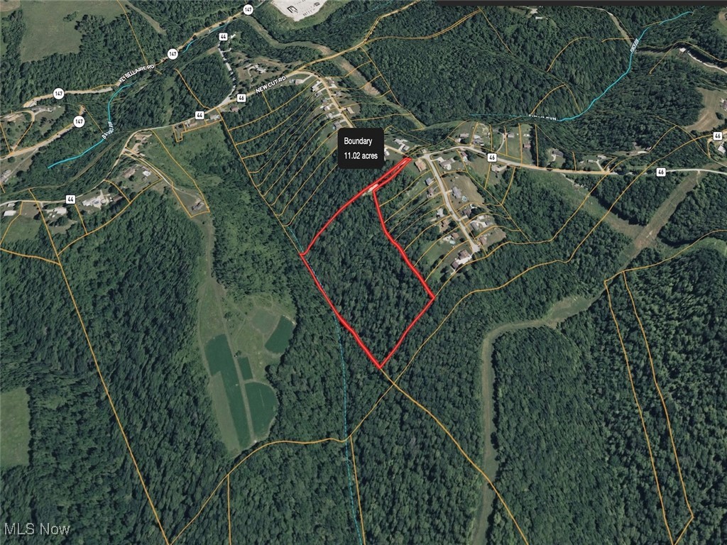 0 New Cut Road Shadyside OH 43947