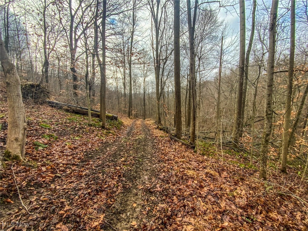 0 New Cut Road Shadyside OH 43947