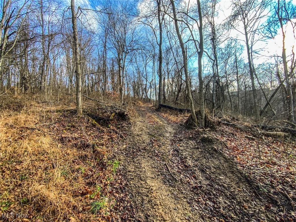 0 New Cut Road Shadyside OH 43947