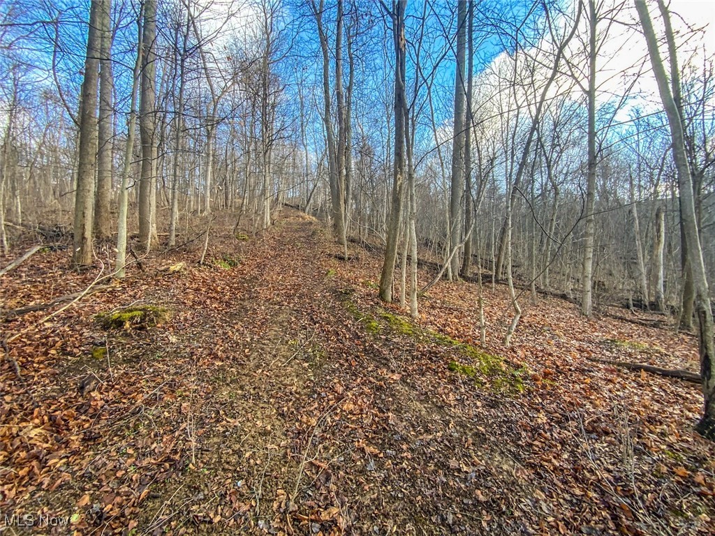 0 New Cut Road Shadyside OH 43947