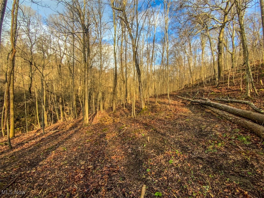 0 New Cut Road Shadyside OH 43947