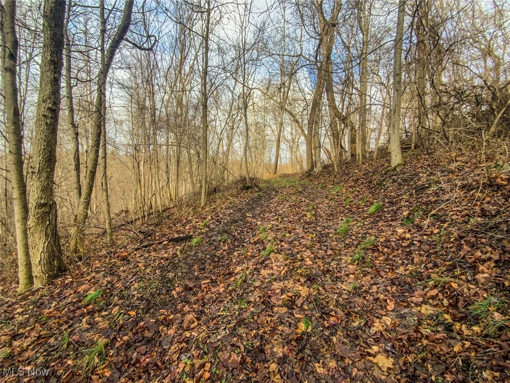 0 New Cut Road Shadyside OH 43947