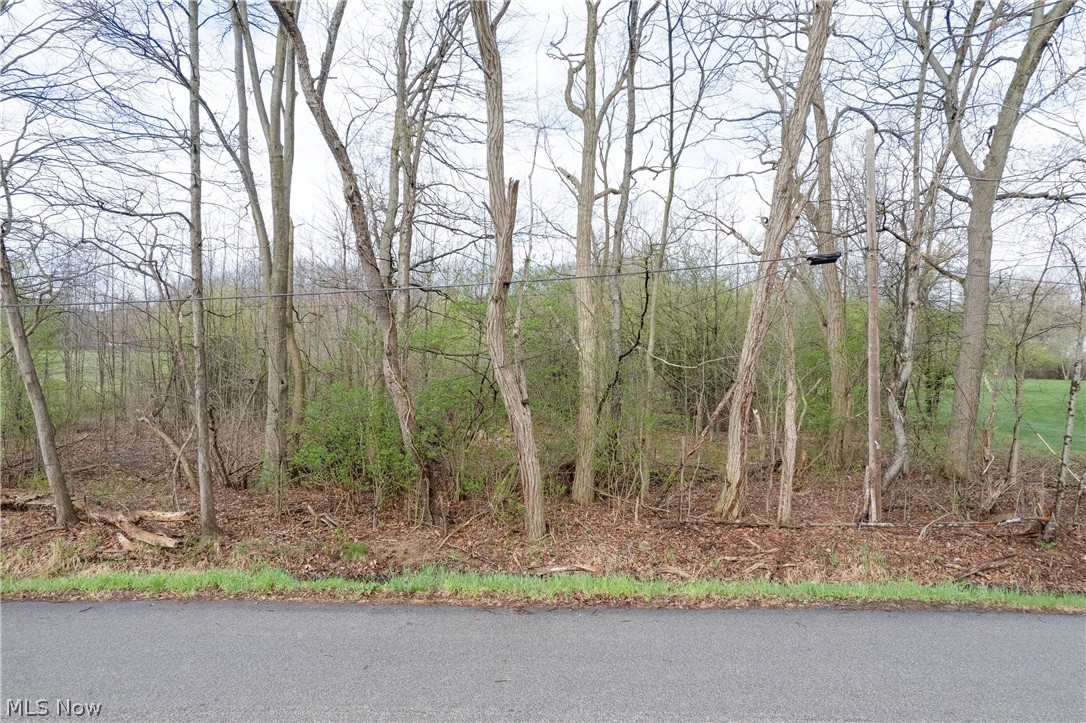 Dutt Road Norton OH 44203