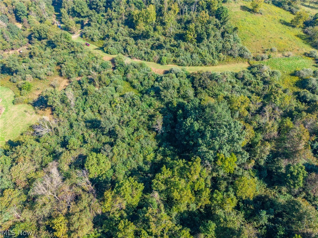 Township Road 269 Cadiz OH 43907