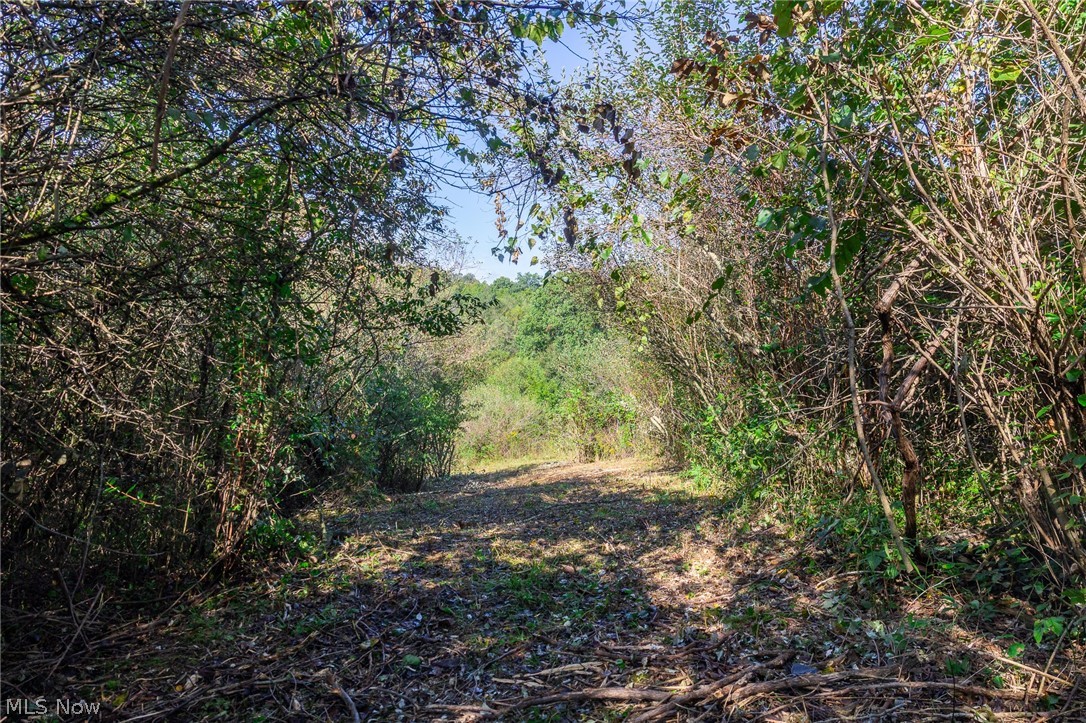 Township Road 269 Cadiz OH 43907