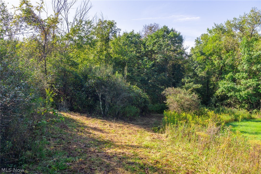 Township Road 269 Cadiz OH 43907