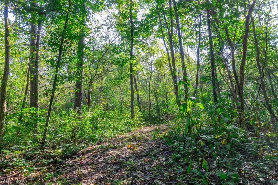 Township Road 269 Cadiz OH 43907