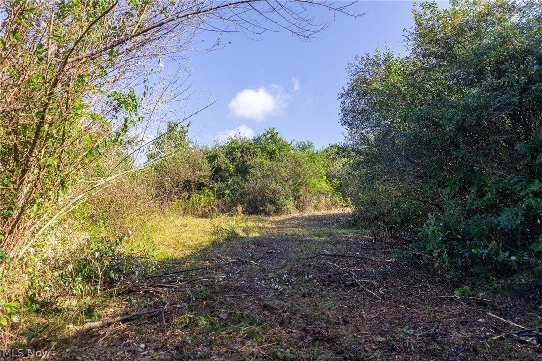 Township Road 269 Cadiz OH 43907
