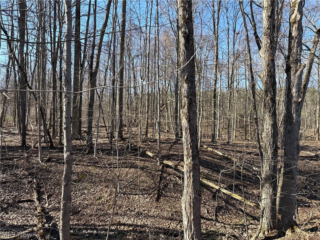 V/l Sutton Place Chardon OH 44024