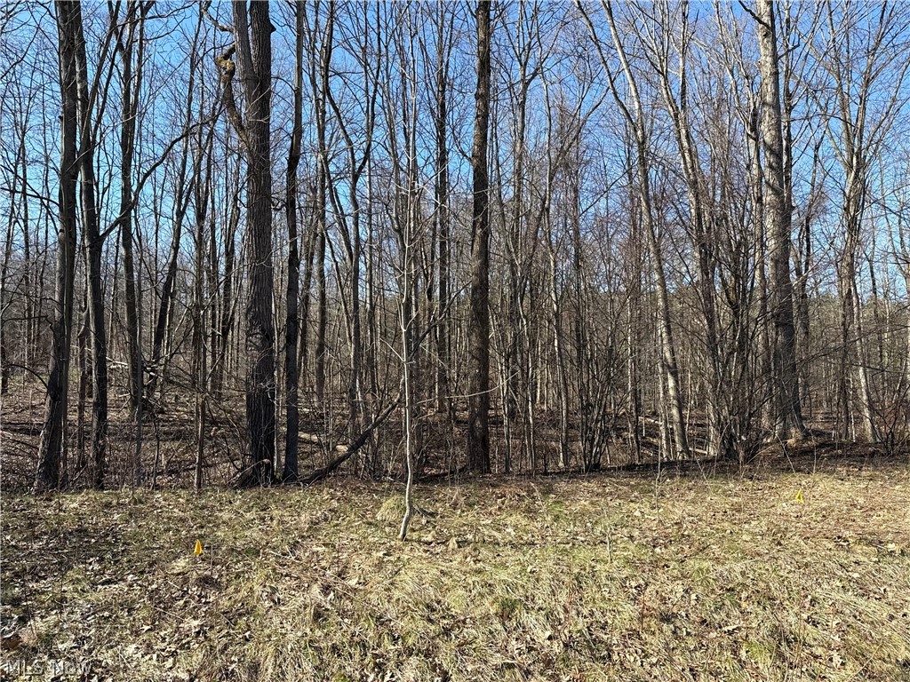 V/l Sutton Place Chardon OH 44024