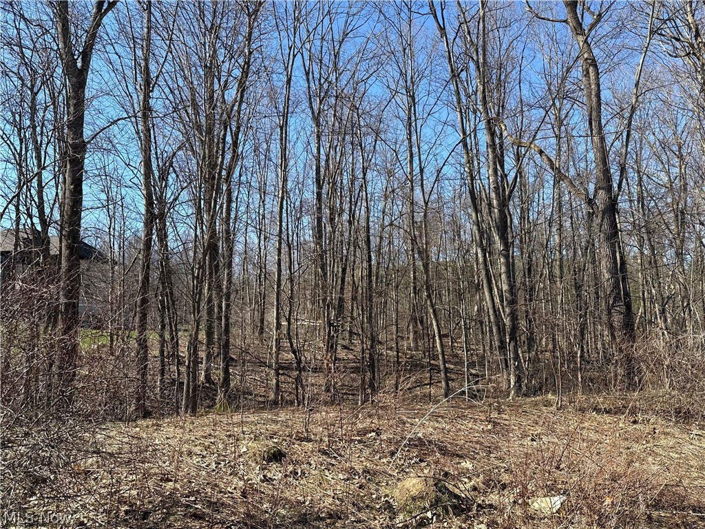 V/l Sutton Place Chardon OH 44024