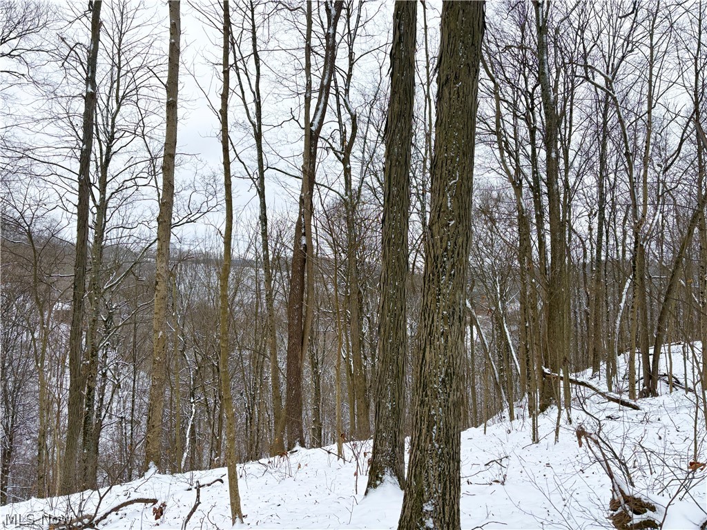 0 Tract 2 Morrs Ridge Road Woodsfield OH 43793