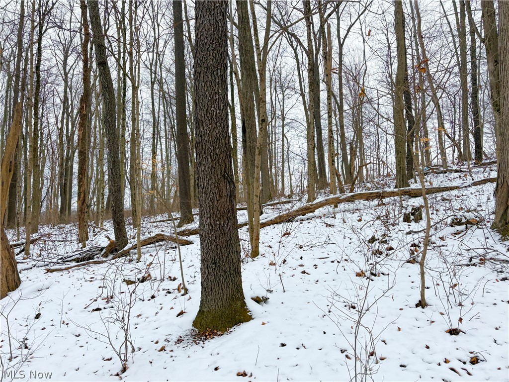 0 Tract 2 Morrs Ridge Road Woodsfield OH 43793