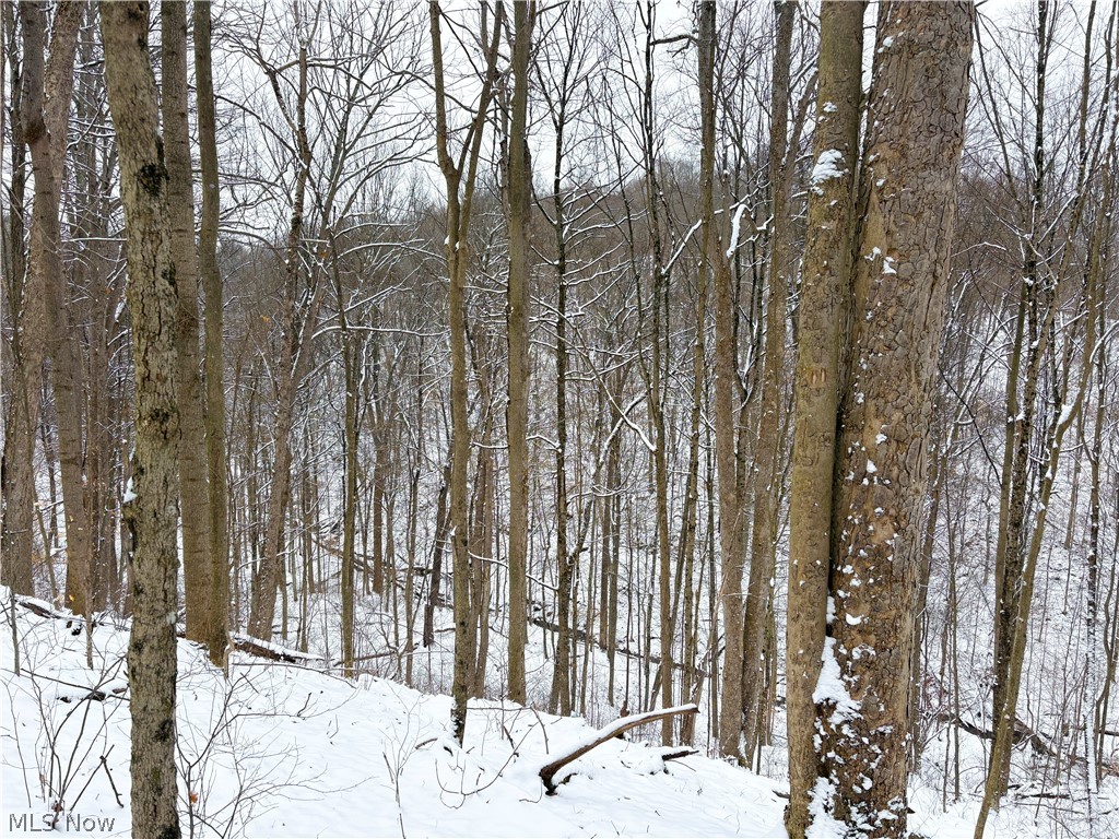 0 Tract 2 Morrs Ridge Road Woodsfield OH 43793
