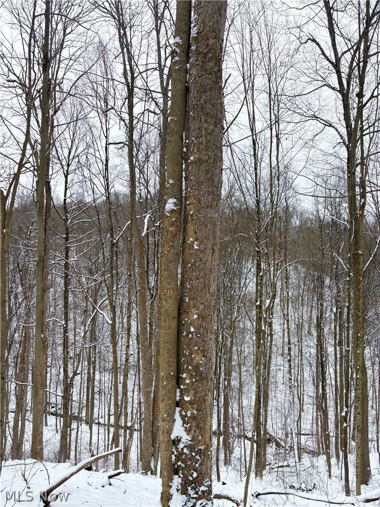 0 Tract 2 Morrs Ridge Road Woodsfield OH 43793