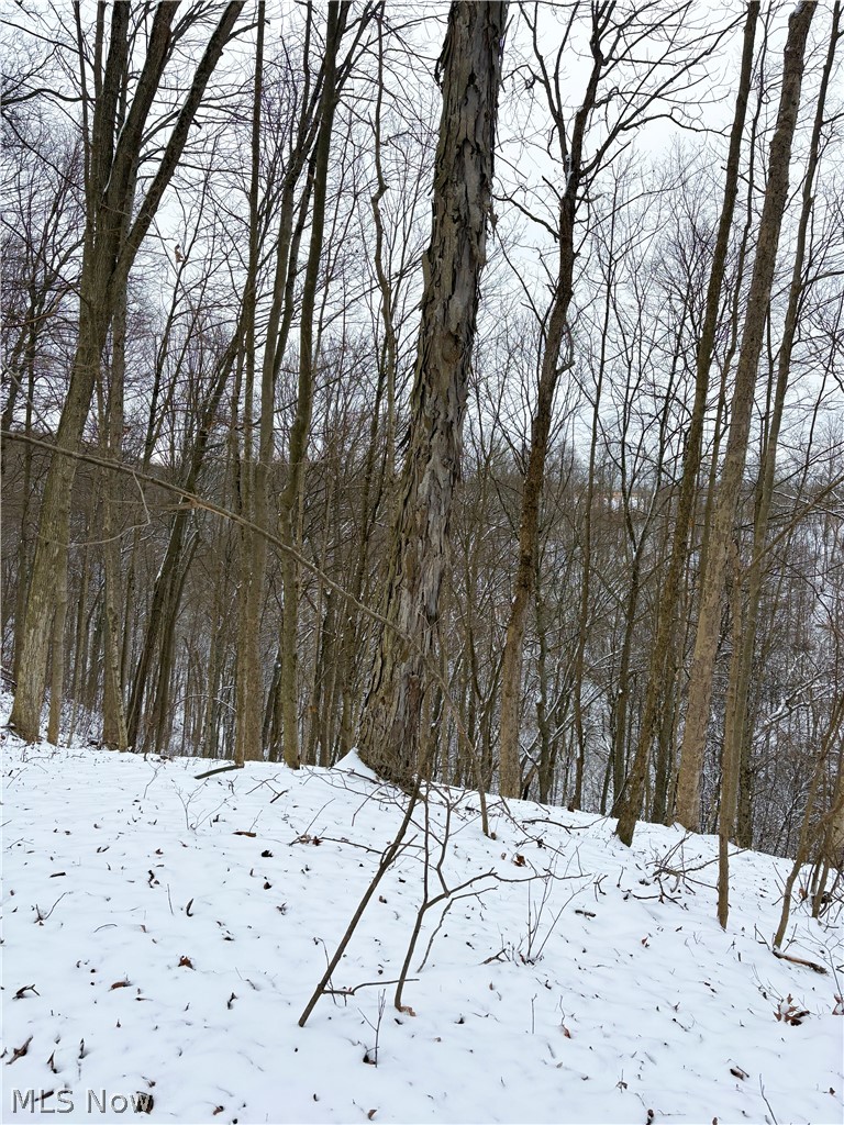 0 Tract 2 Morrs Ridge Road Woodsfield OH 43793