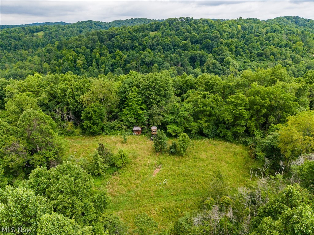 Sheepskin Road Lower Salem OH 45745