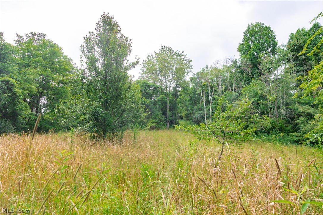 Sheepskin Road Lower Salem OH 45745