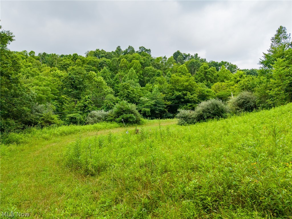 Sheepskin Road Lower Salem OH 45745